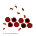 Cockroach Gel bait station small 20 pcs - Image 3